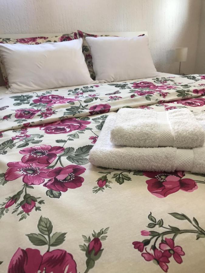 Apartman Studio Milojkovic Golubac Luaran gambar