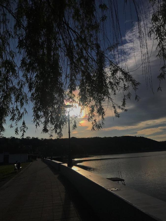 Apartman Studio Milojkovic Golubac Luaran gambar