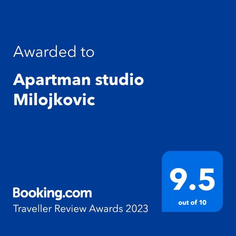 Apartman Studio Milojkovic Golubac Luaran gambar